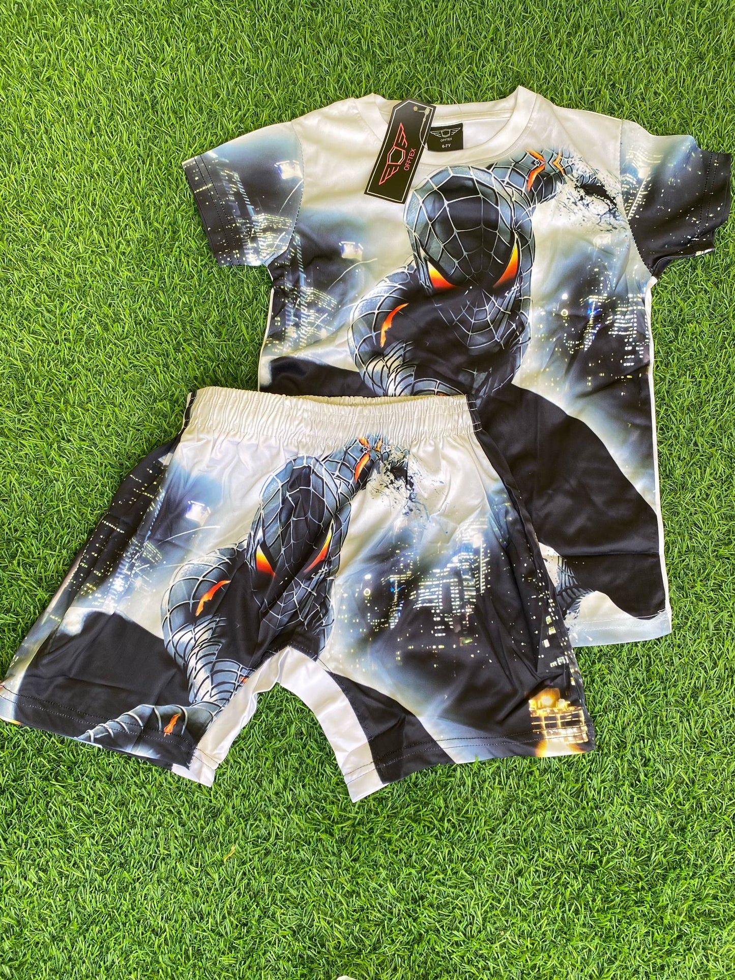 3D Spiderman Design Two Piece